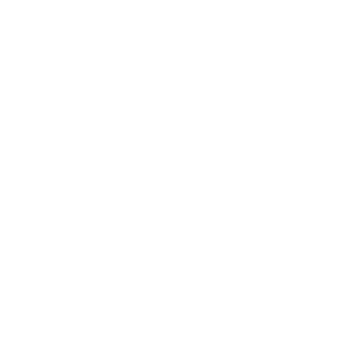 Logo Kimik